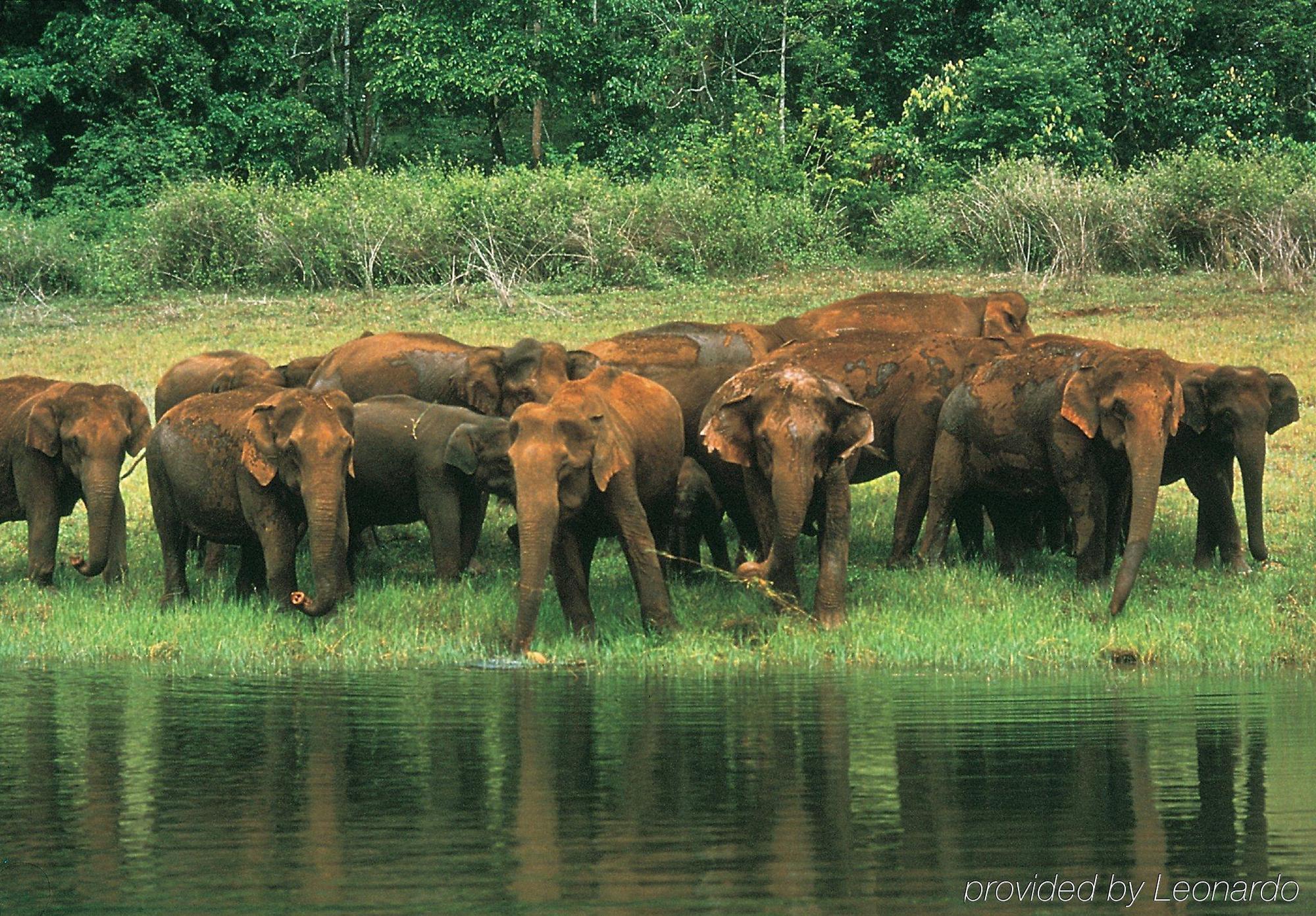 Hotel Club Mahindra Thekkady Esterno foto